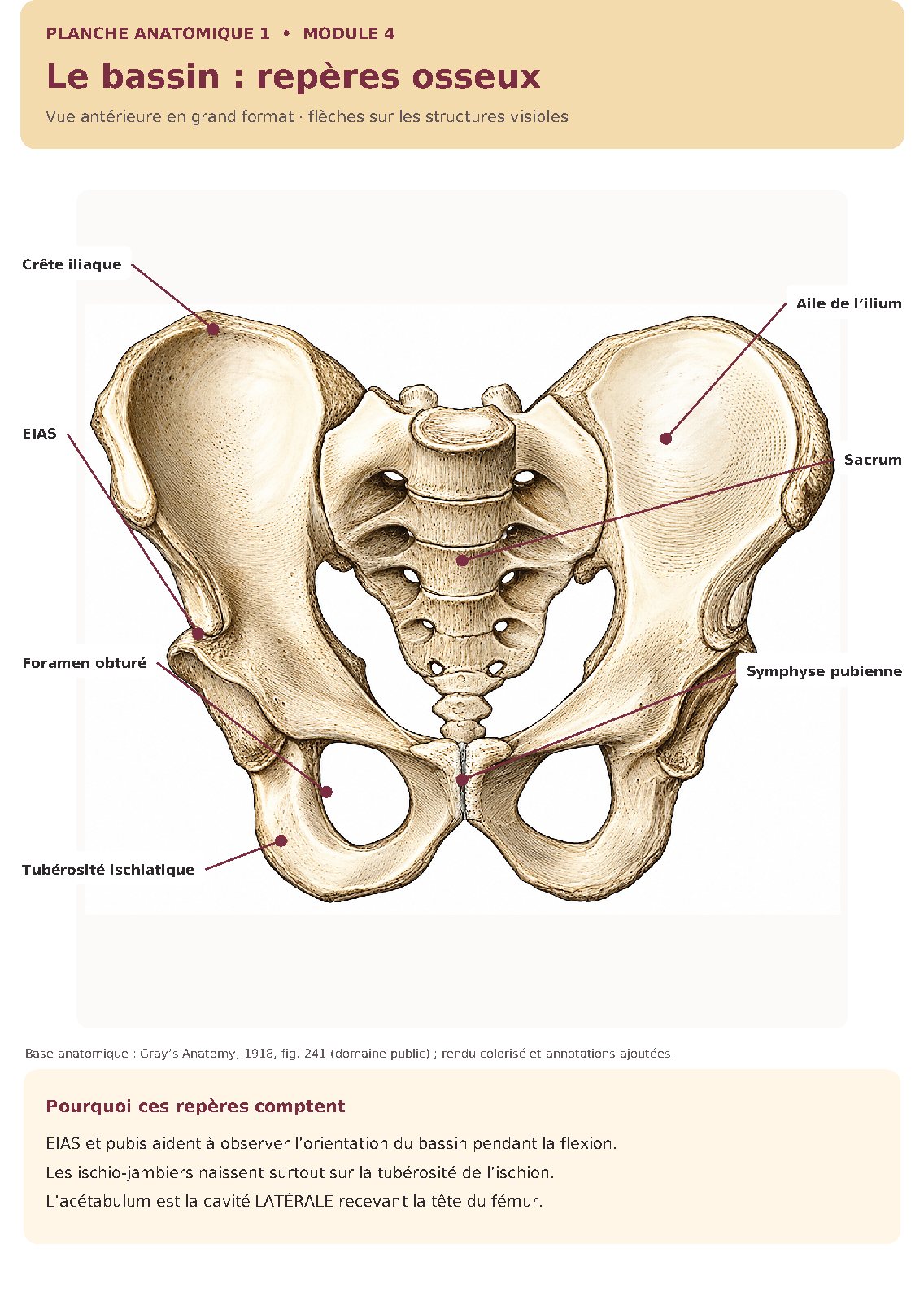 Illustration du module 4