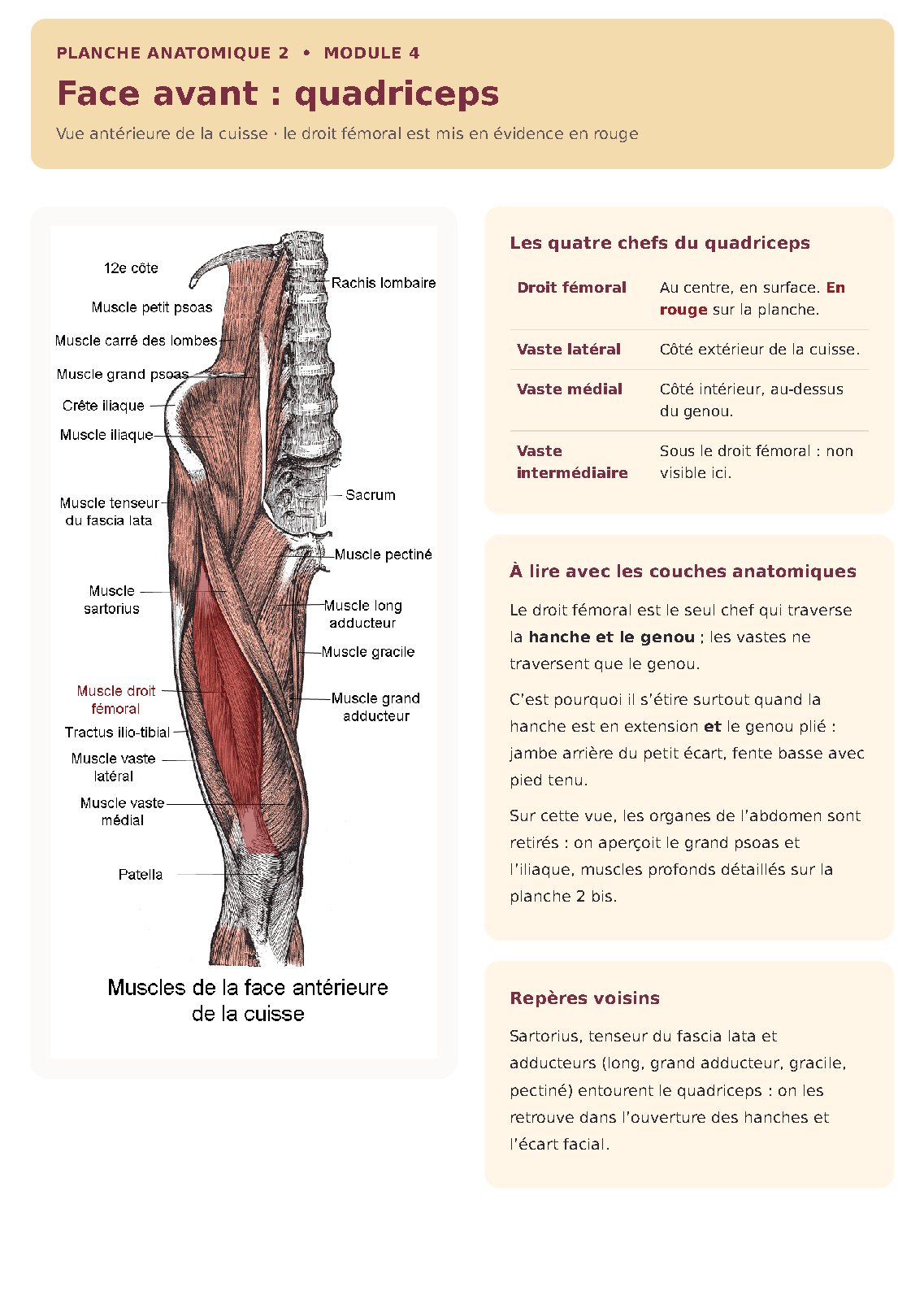 Illustration du module 4