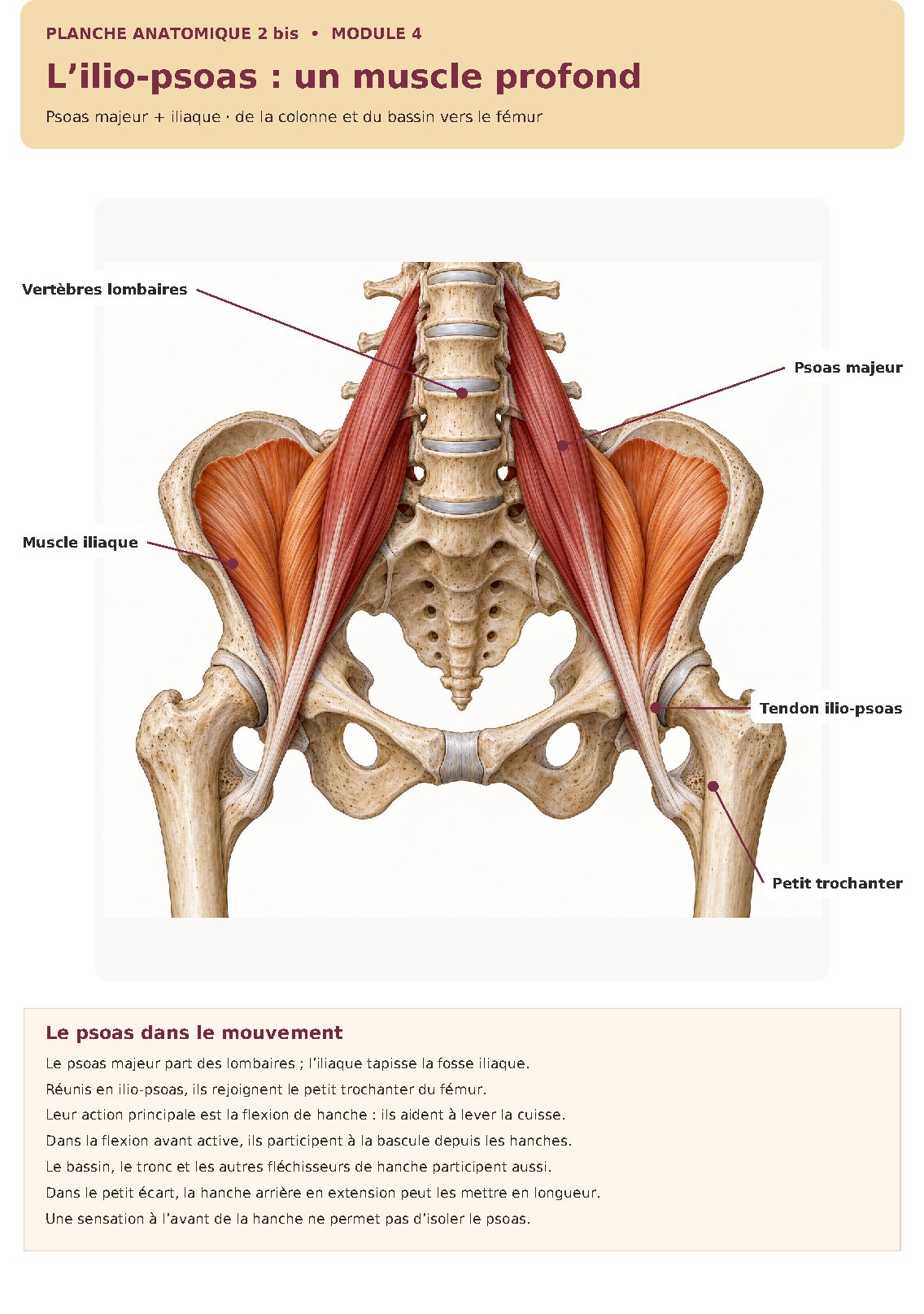 Illustration du module 4