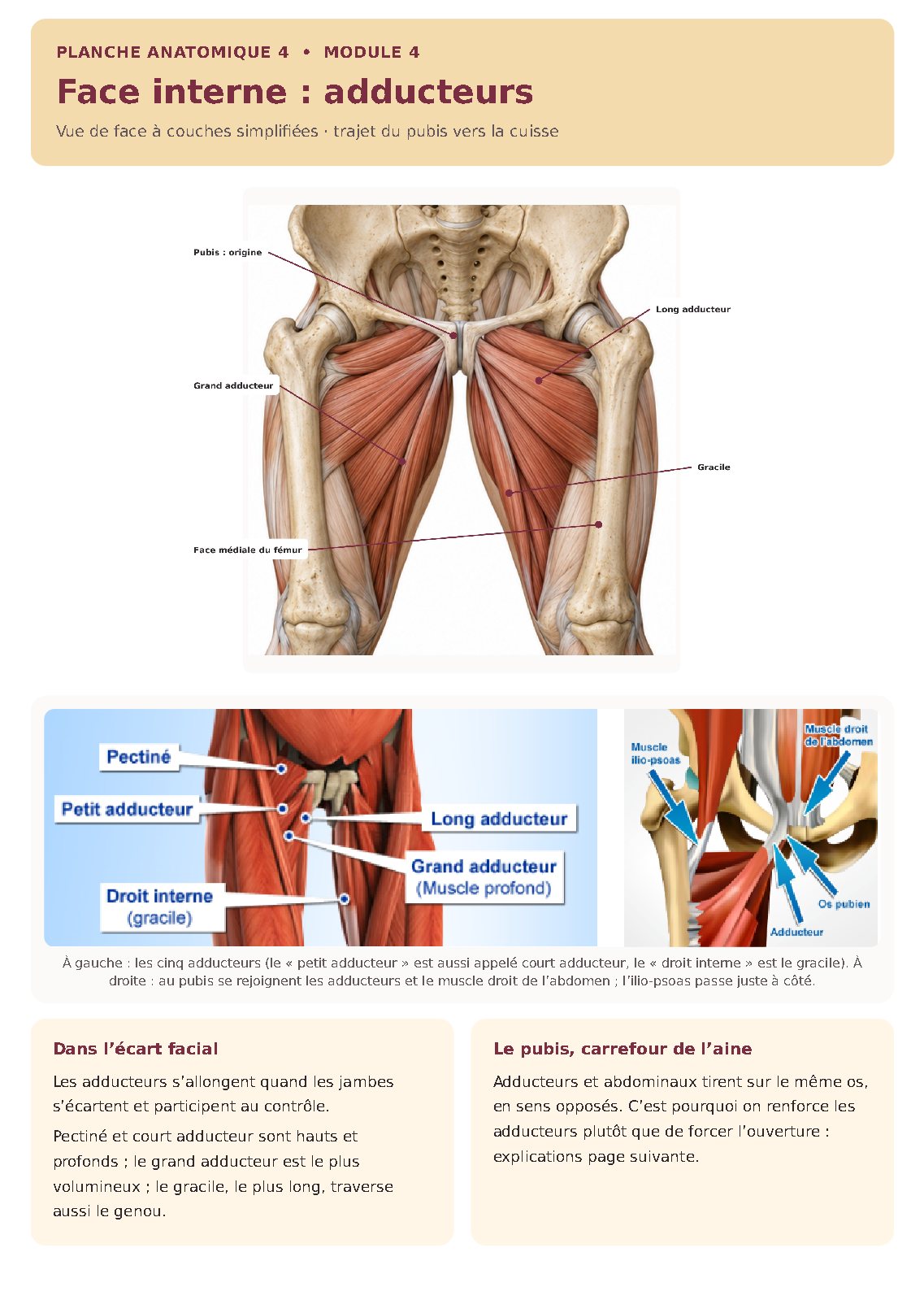 Illustration du module 4