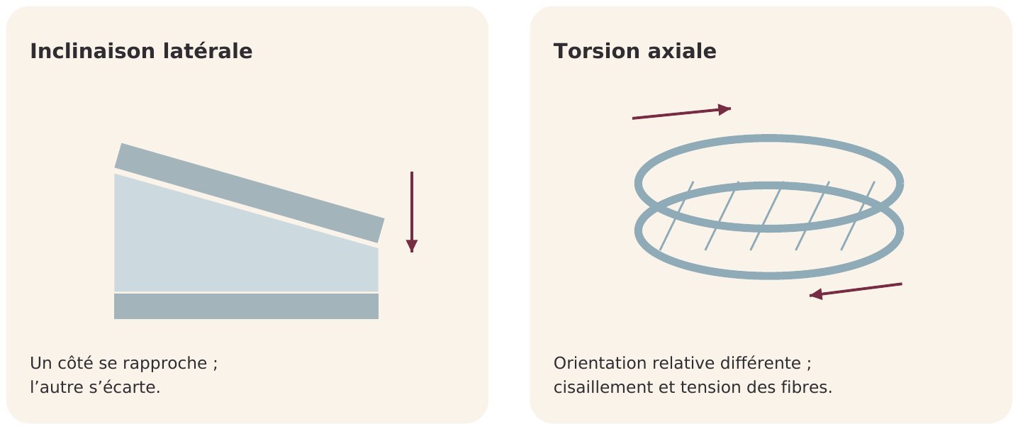 Schémas mécaniques simplifiés : deux surfaces et un tissu entre elles. Aucun déplacement du noyau, champ de pression ou