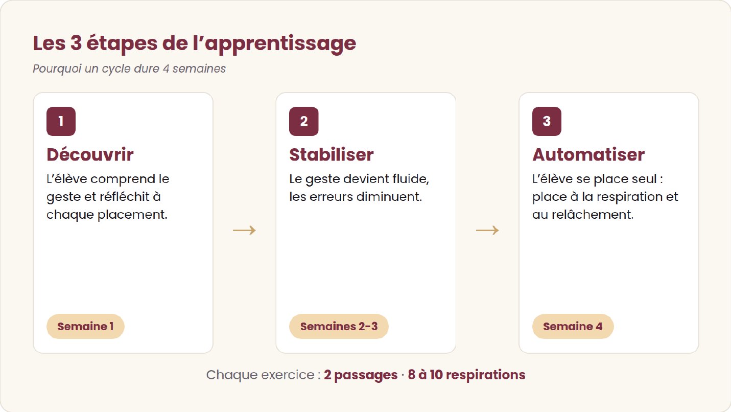 Les trois étapes de l’apprentissage au fil d’un cycle de 4 semaines.